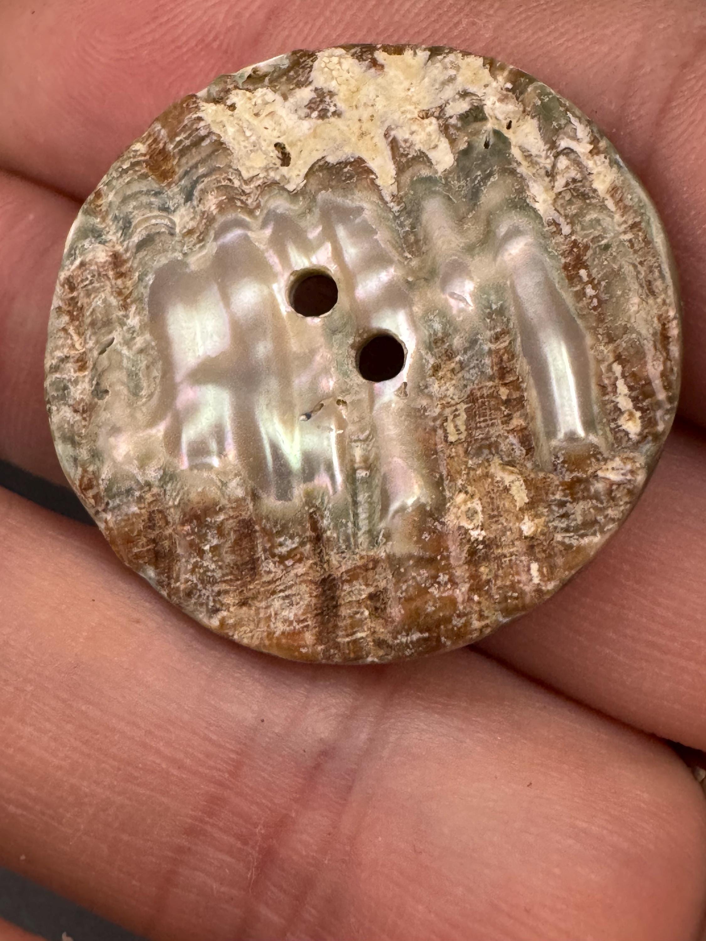 1 x 30mm natural abalone shell thick round natural MOP Mother of Pearl Button