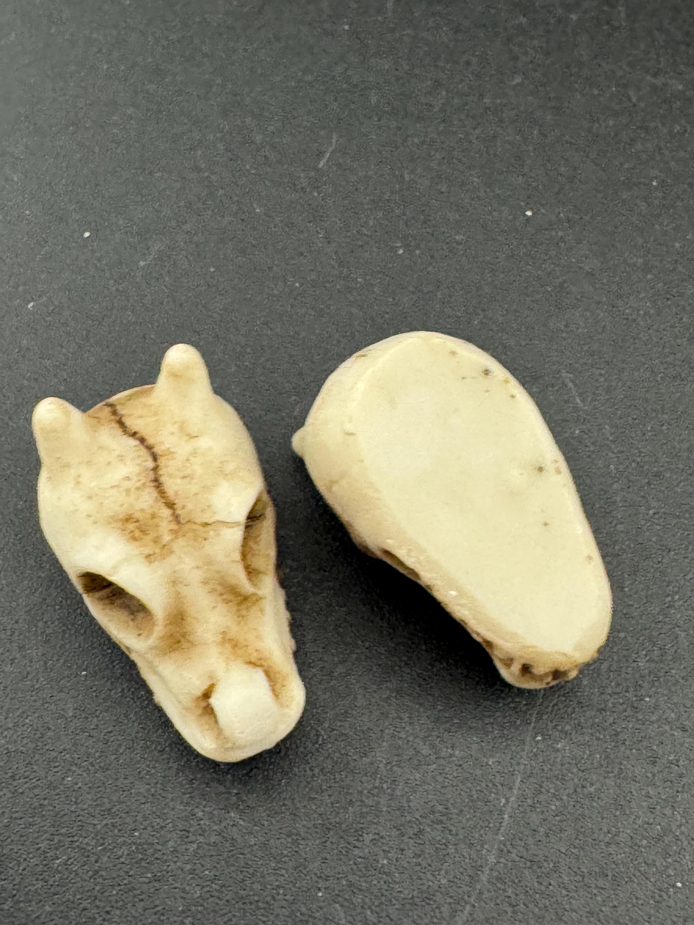 2 pieces Miniatures spooky Halloween animal skull cake topper decorations, craft scenery, reusable plastic