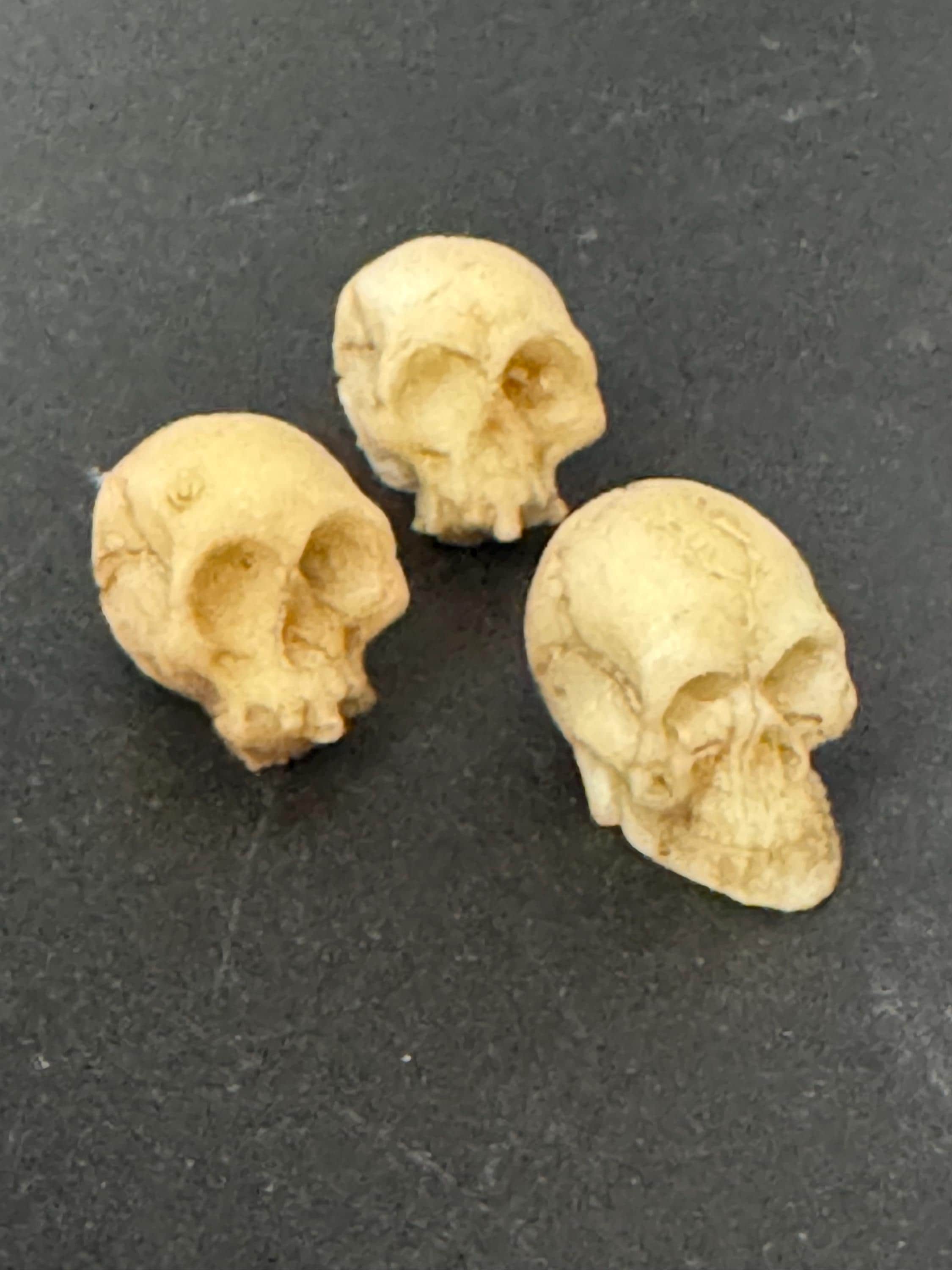Miniatures set of 3 spooky Halloween skull cake topper decorations, craft scenery, reusable plastic