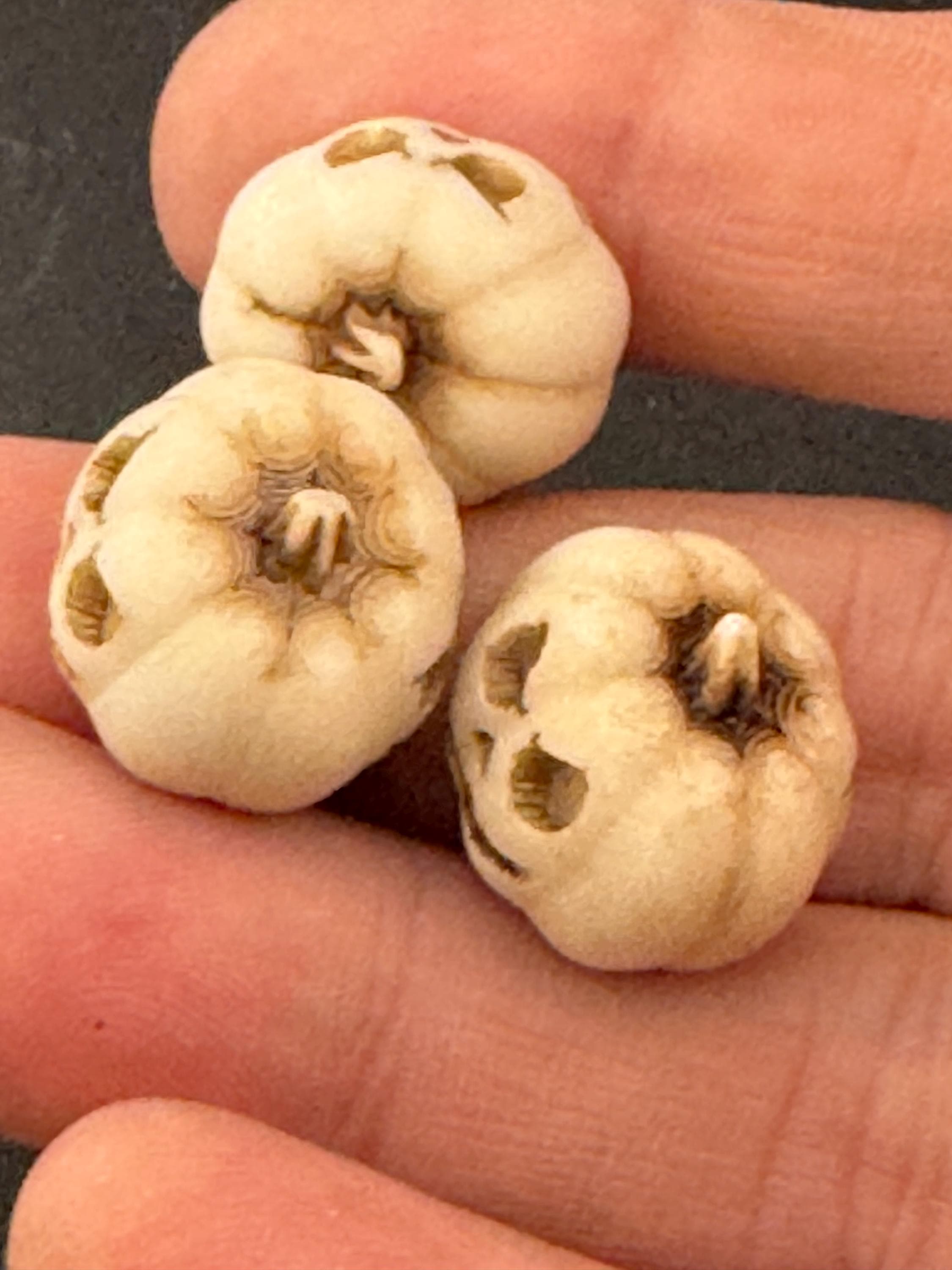 set of 3 miniature scary pumpkin cake topper decorations, craft scenery, dollhouse