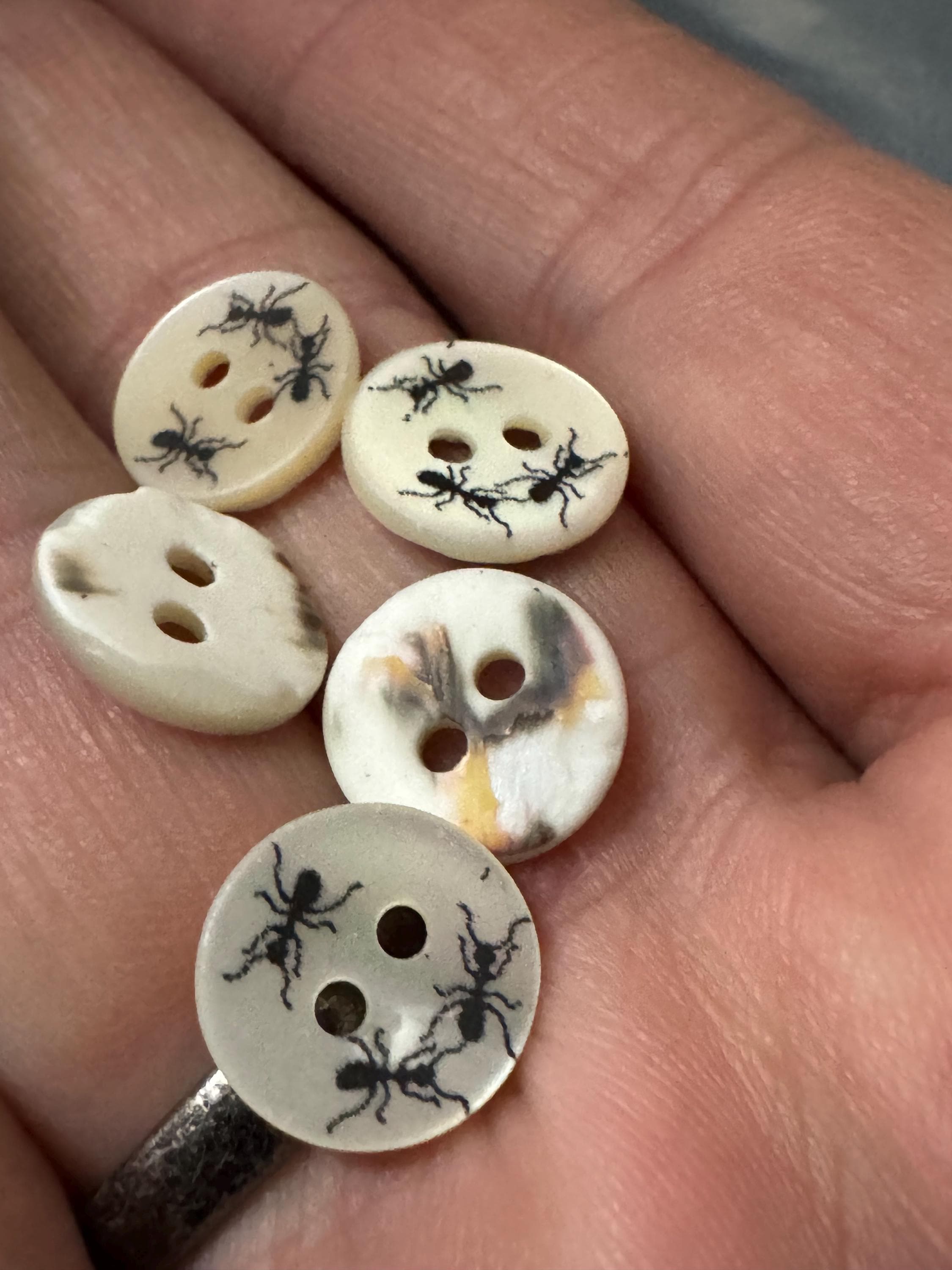 Mother of Pearl ant insect Buttons: Natural MOP Shell bugs, 10mm, 5-Pack
