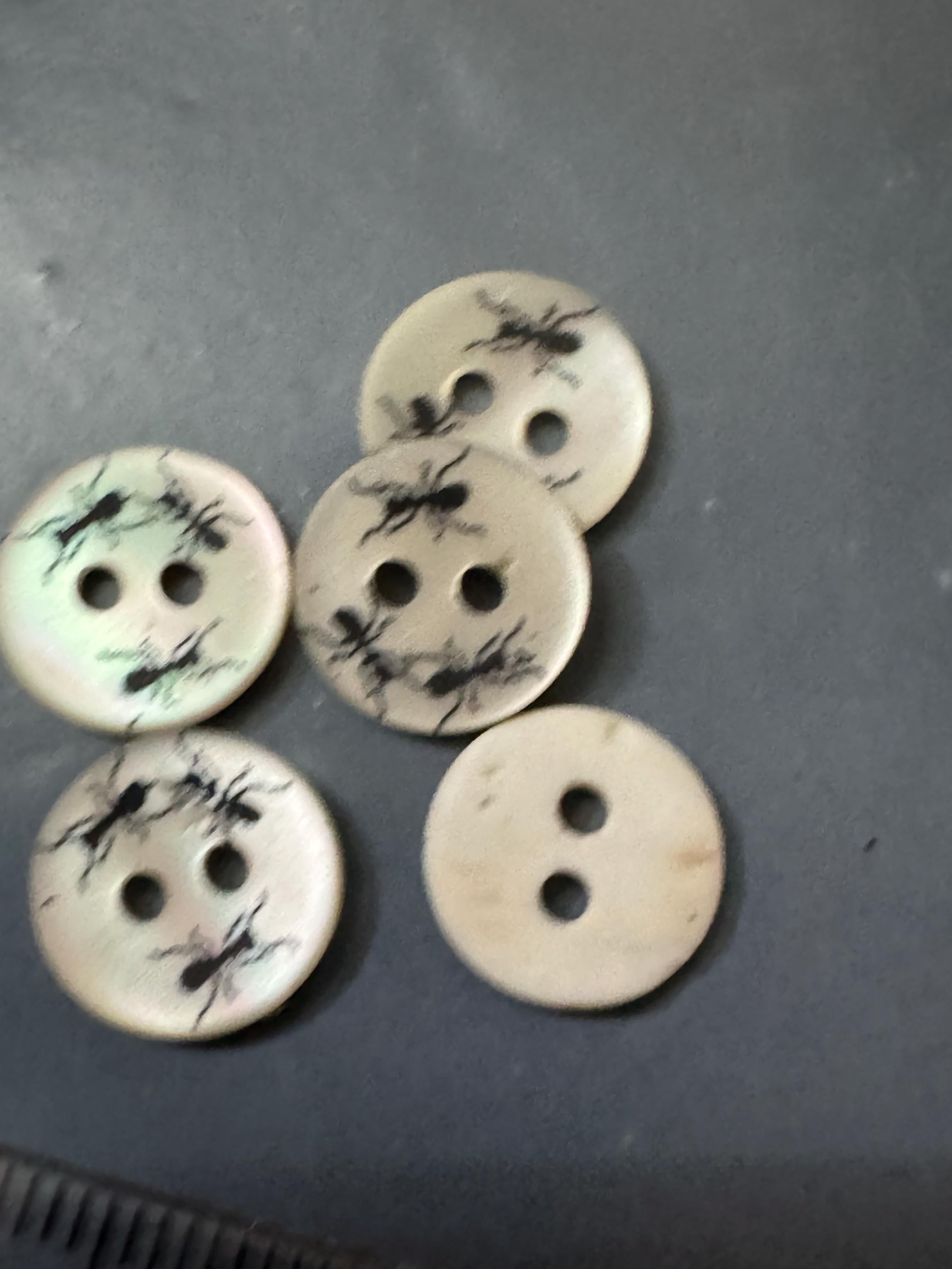 Mother of Pearl ant insect Buttons: Natural MOP Shell bugs, 10mm, 5-Pack
