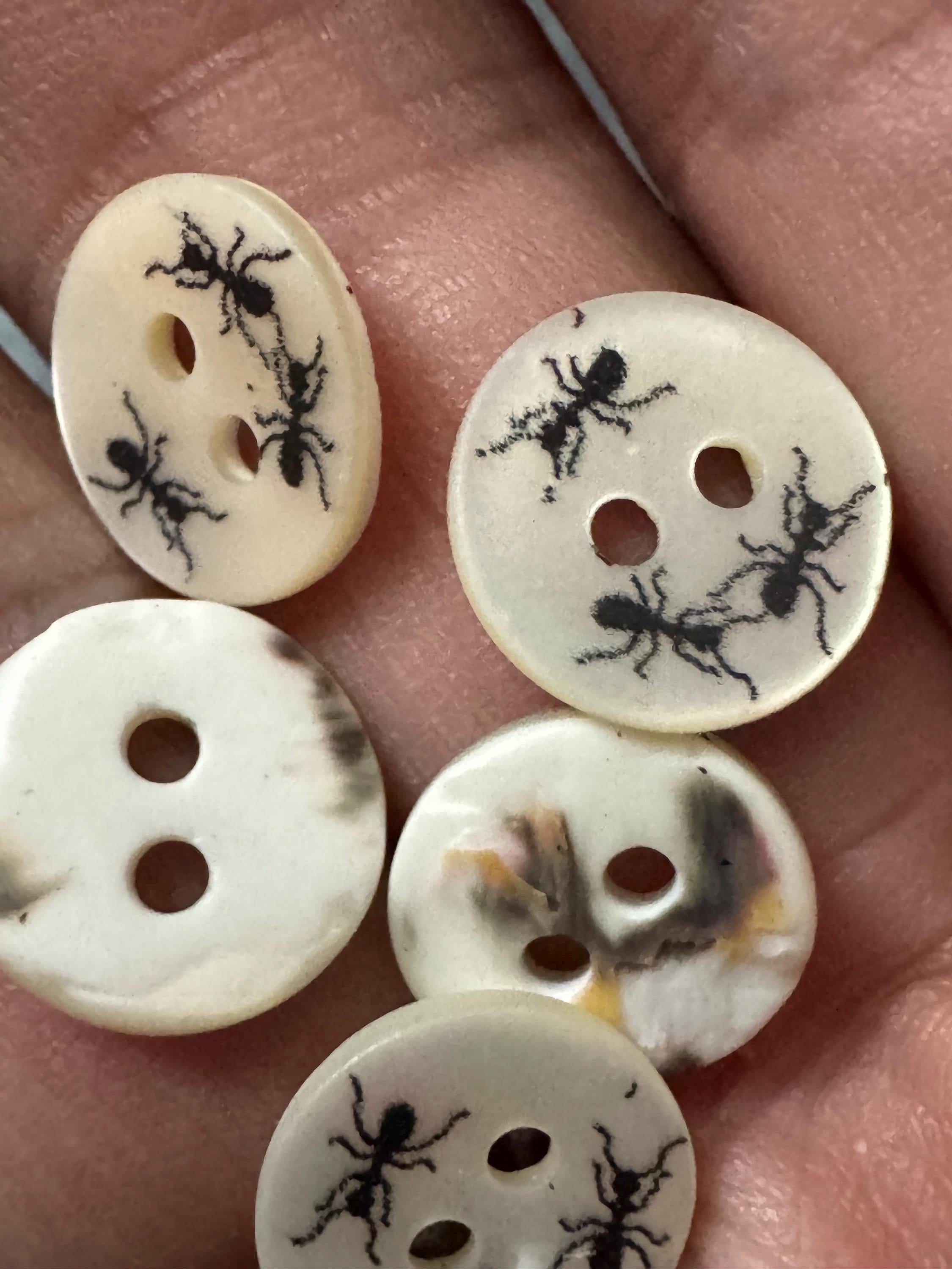 Mother of Pearl ant insect Buttons: Natural MOP Shell bugs, 10mm, 5-Pack