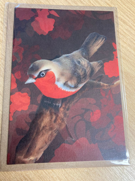 Vintage retro kitsch cute robin redbreast garden bird plain greetings card 1980s