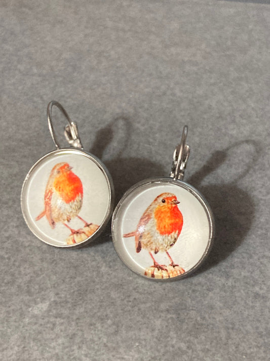 Garden bird Robin redbreast stainless steel drop earrings